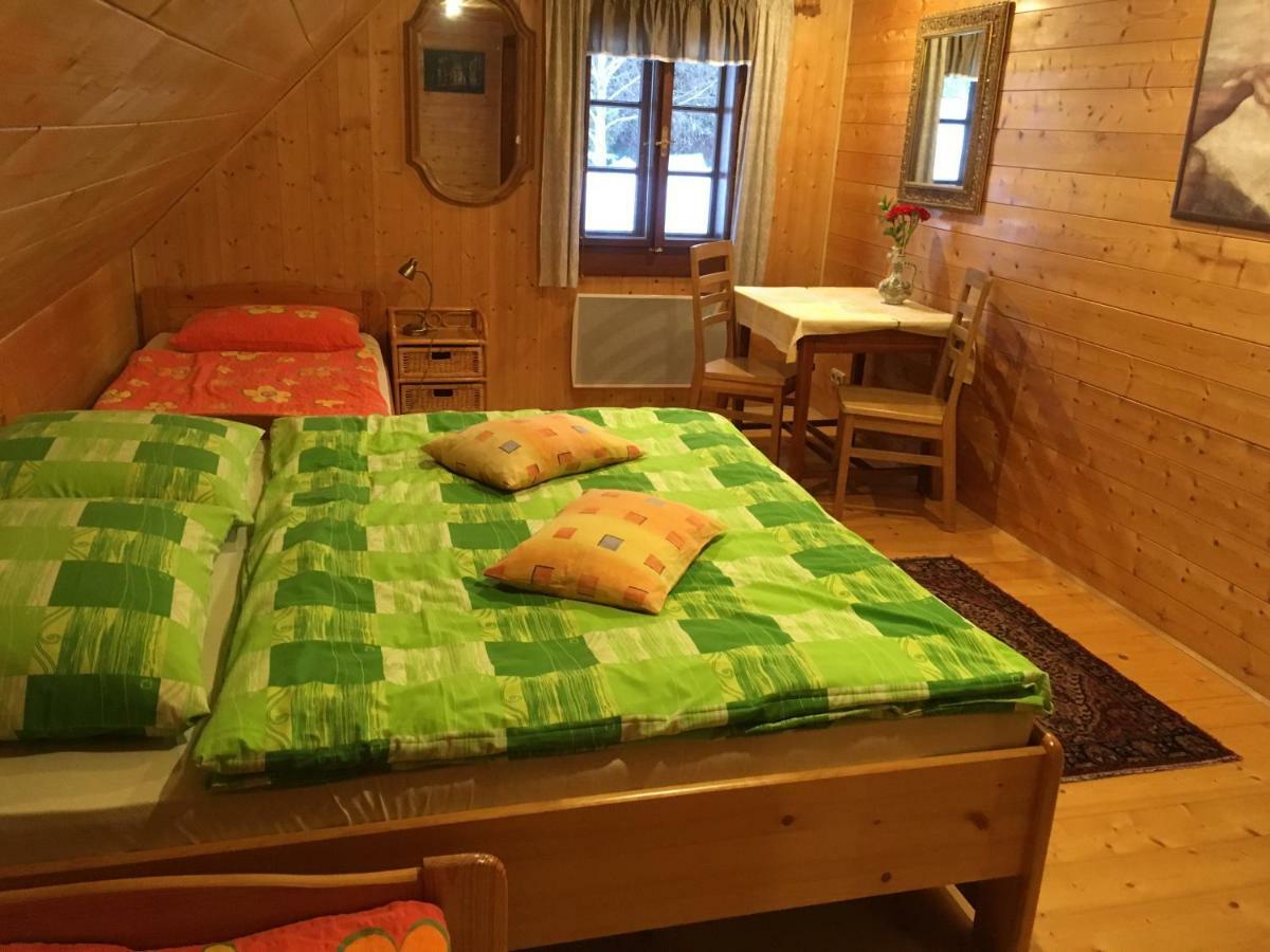 Hotel Roubenka Elisabeth à Jablonné nad Orlicí Extérieur photo